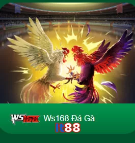 lt88